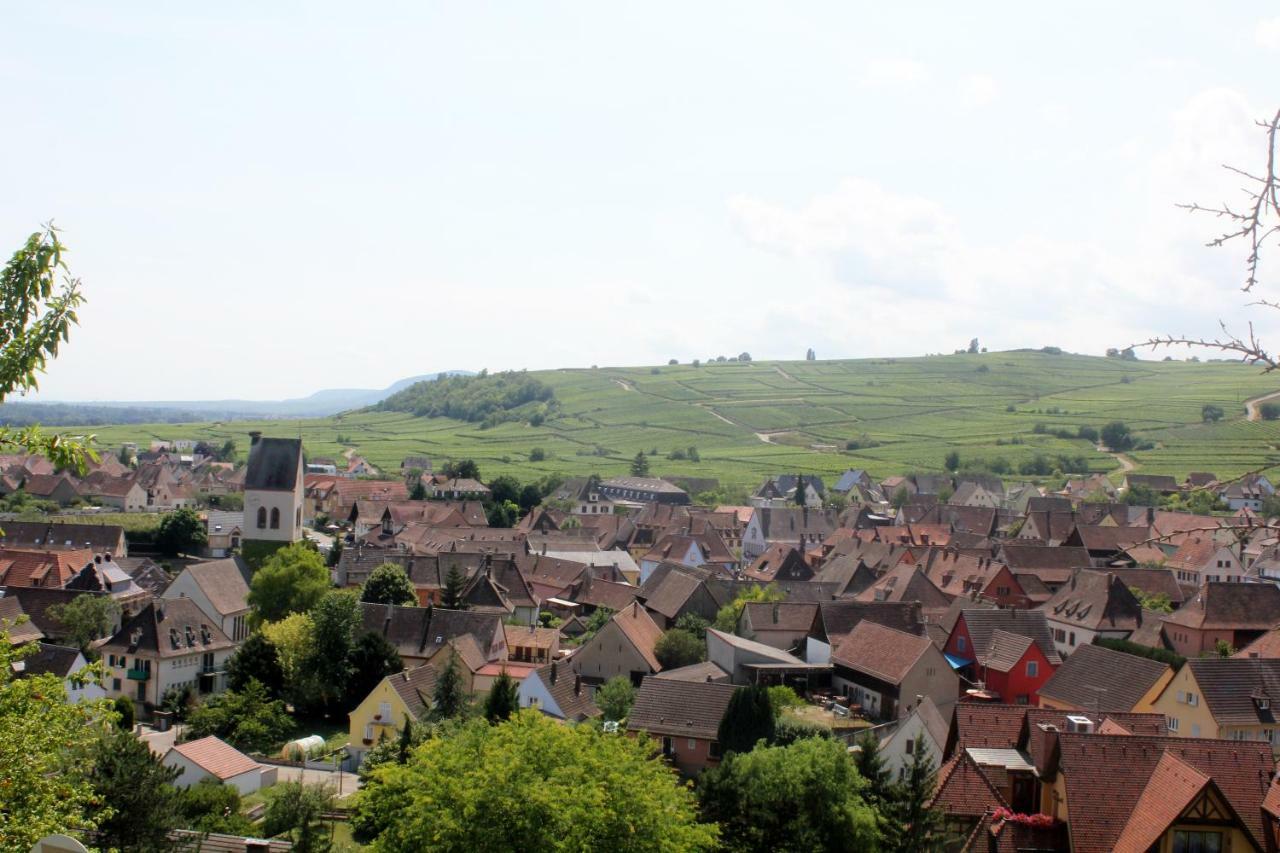 Gite Des 5 Cigognes Rouge Mittelwihr Bagian luar foto