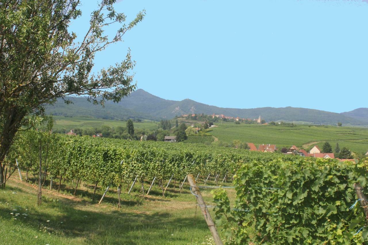 Gite Des 5 Cigognes Rouge Mittelwihr Bagian luar foto