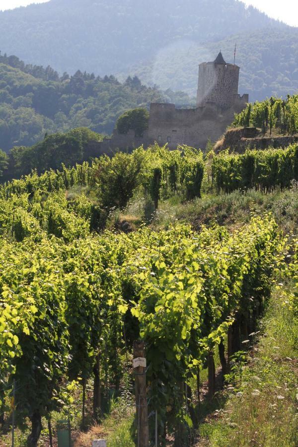 Gite Des 5 Cigognes Rouge Mittelwihr Bagian luar foto